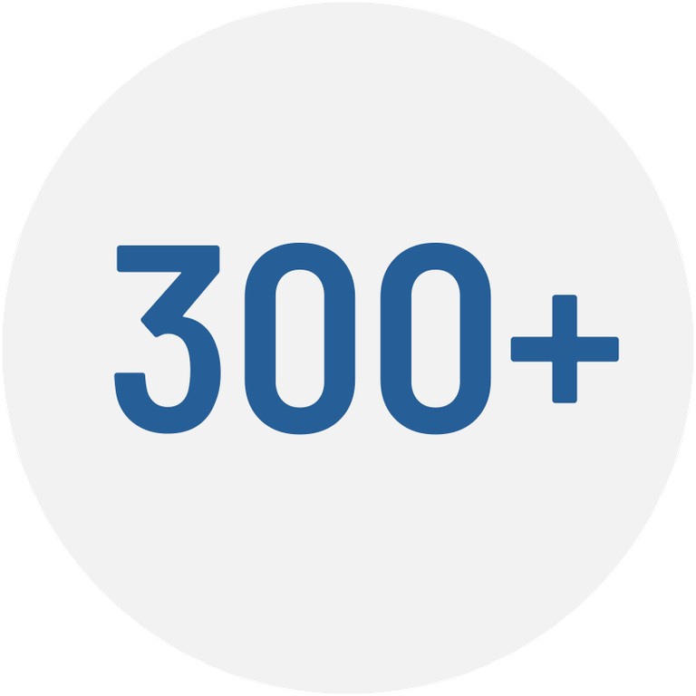 300+ Icon